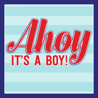 Baby Shower Party Decor and Photo Props