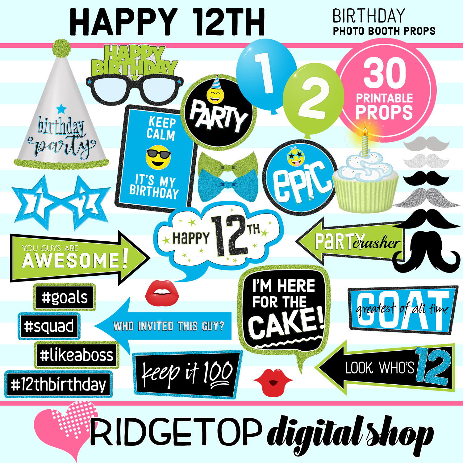 12th Birthday Blue and Lime Photo Props