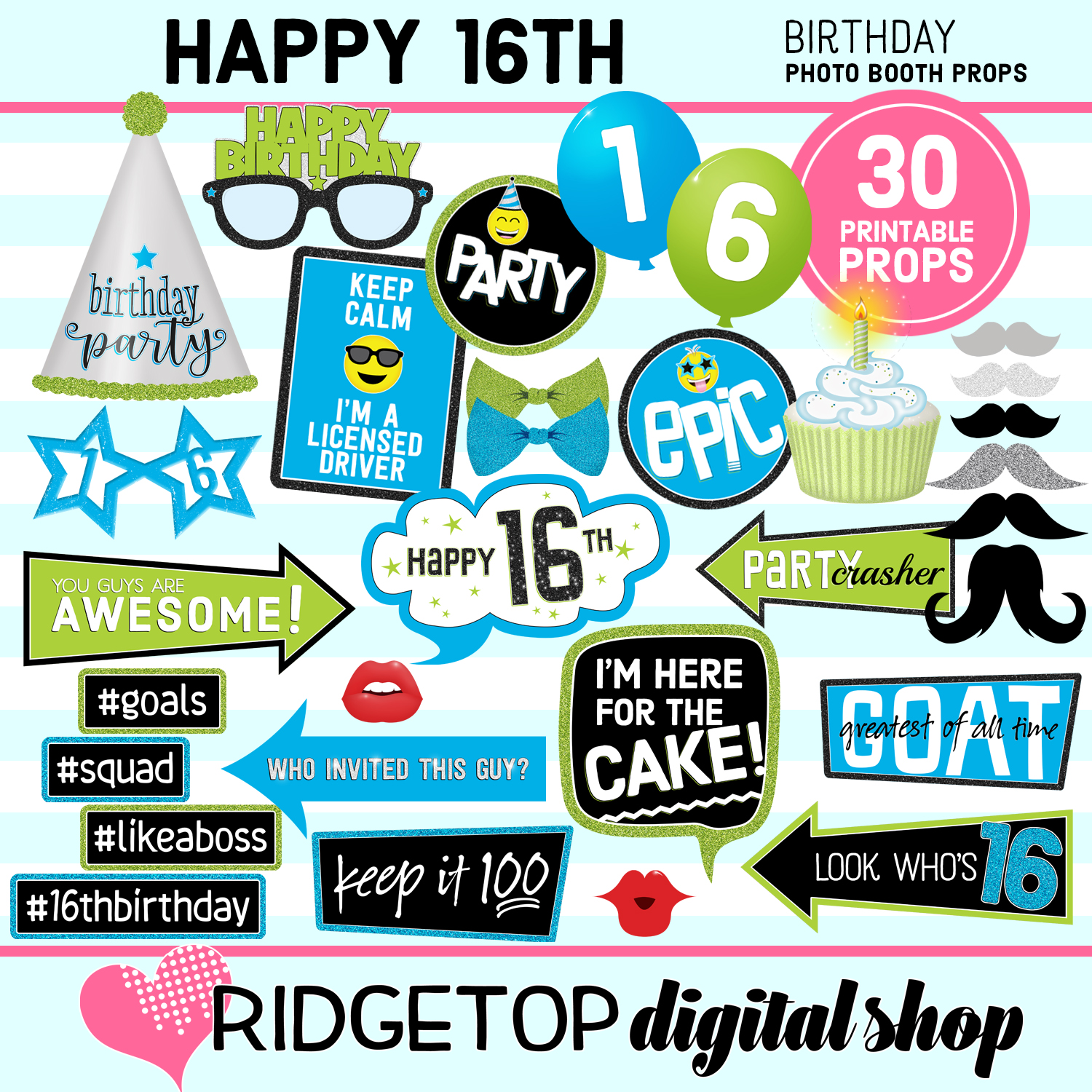 16th Birthday Blue and Lime Photo Props