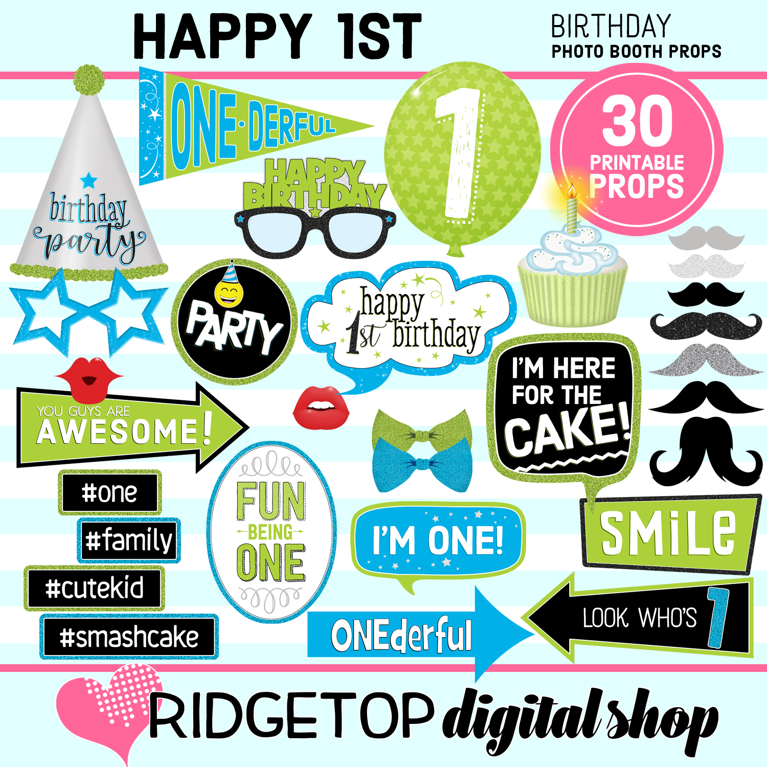1st Birthday Blue and Lime Photo Props