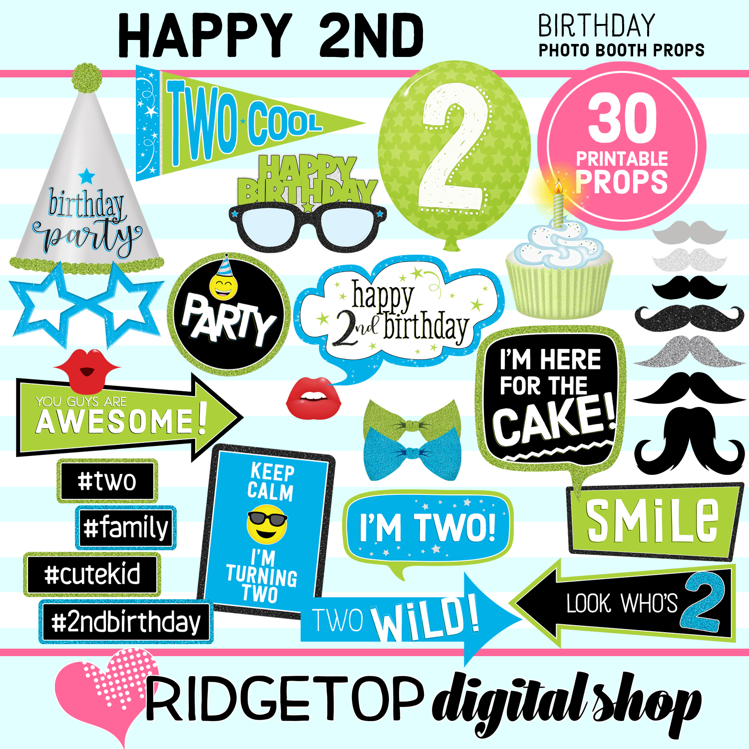 2nd Birthday Blue and Lime Photo Props