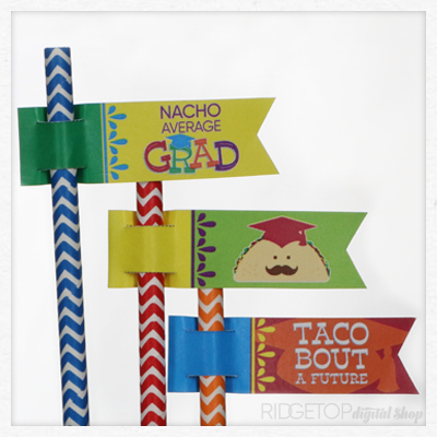 Nacho Average Grad Straw Flags Free Printable
