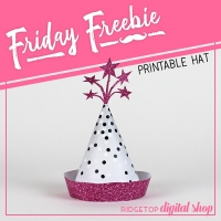 Party Hat - Pink & Silver
